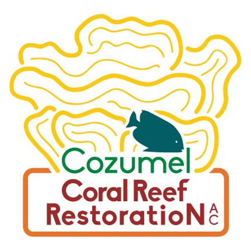Coral Research Diver W/Accommodations